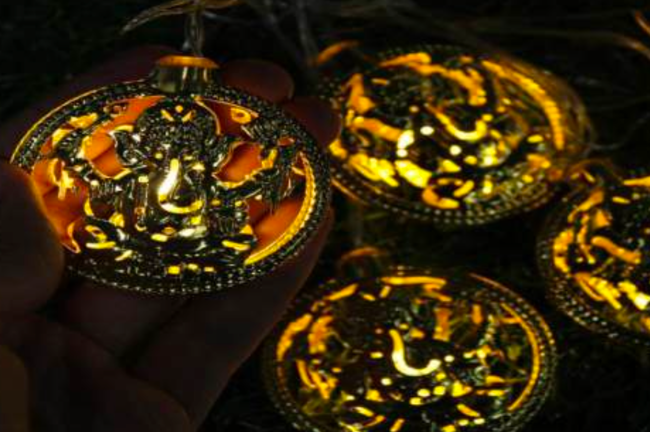 10L Metal Ganesha String Light For Indoor/Outdoor Decorations