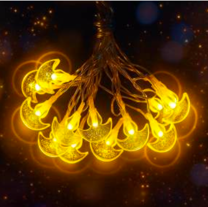 14L Crystal Diya String Light I Warm White